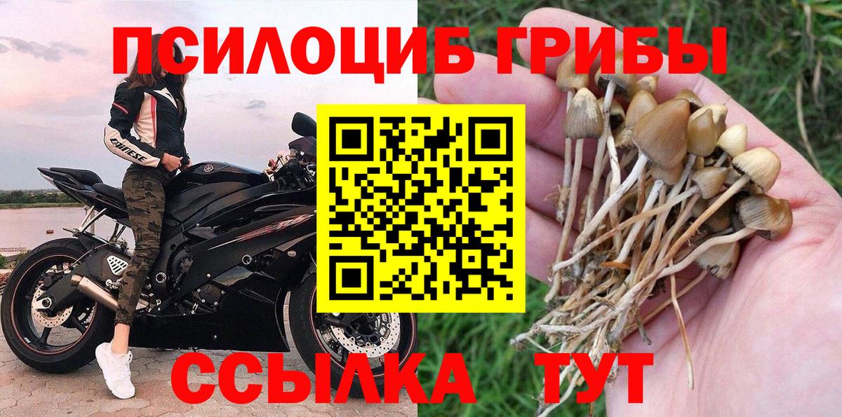 Галлюциногенные грибы Psilocybe Советский