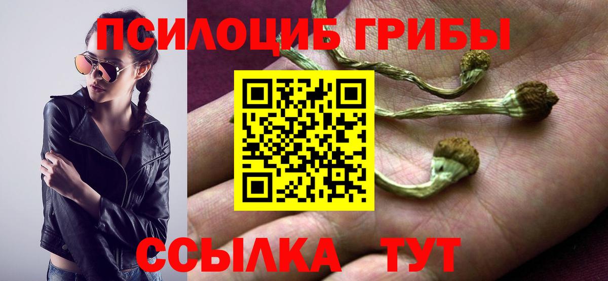 Галлюциногенные грибы Psilocybine cubensis  Вход с VPN  Советский 