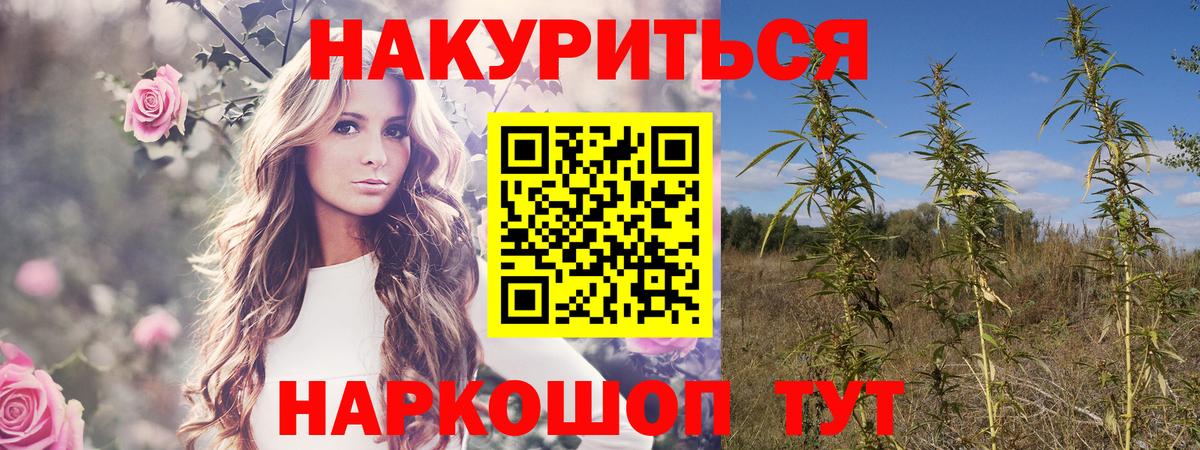Советский  Канабис индика  Бошки Шишки конопля  Бошки Шишки ГИДРОПОН  Вход с VPN  Марихуана THC 21% 